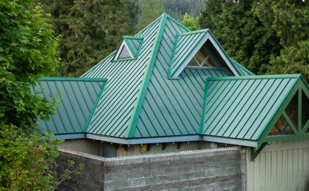 Best Gutter Replacement  in Sanborn, NY